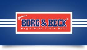 VARIOS->CONJUNTO ROTULAS  Borg & Beck