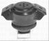Borg & Beck BEM3101 - Soporte, motor