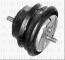 Borg & Beck BEM3205 - Soporte, motor